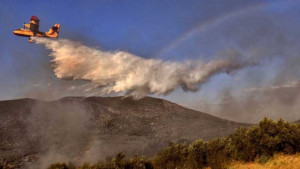 Σε ύφεση η φωτιά στη Σπιάντζα Πύργου Ηλείας