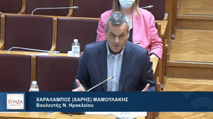 Νομοσχέδιο για ναυπηγεία Ελευσίνας: Οι τέσσερις βασικές επιφυλάξεις του ΣΥΡΙΖΑ-ΠΣ