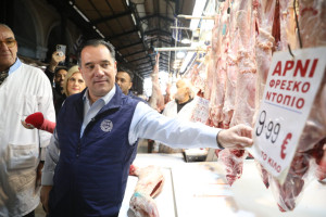 Γεωργιάδης: Χαμηλότερες από πέρυσι οι τιμές χονδρικής για αρνί, κατσίκι
