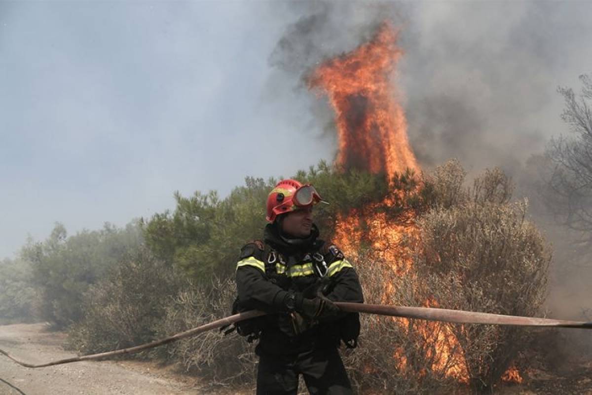 Φωτιά ξέσπασε στο Μενίδι