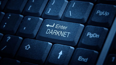 Οι IT ειδικότητες με τη μεγαλύτερη ζήτηση στο darknet