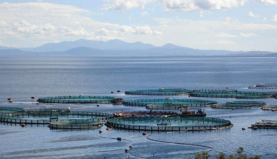 ΥΠΑΑΤ: Ξεκινά νέο πρόγραμμα 26 εκ. ευρώ για τη μεταποίηση προϊόντων αλιείας και υδατοκαλλιέργειας