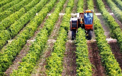 Νέοι αγρότες: Επιχορηγήσεις 38,7 εκατ. ευρώ στη Στερεά Ελλάδα