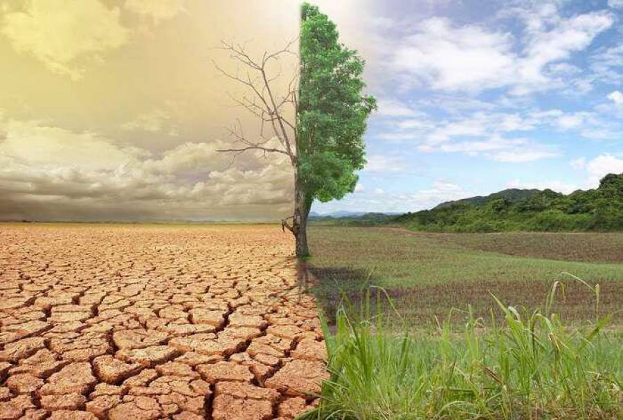 Αντωνακάκη (ΤτΕ): Πηγαίνουμε σε έναν κύκλο ενεργειακής και κλιματικής φτώχειας