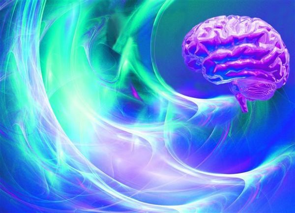 Τον «δεύτερο εγκέφαλο»,το νευρικό σύστημα του εντέρου, χαρτογράφησε νέα έρευνα