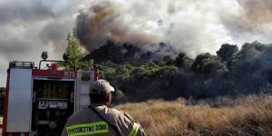 Χαλκίδα: Φωτιά στο Βαθροβούνι- Καπνοί μέχρι το κέντρο της πόλης