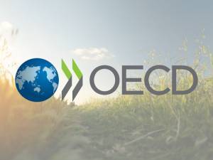 ΟΟΣΑ: Σε υψηλό 30ετίας ο πληθωρισμός τον Ιανουάριο