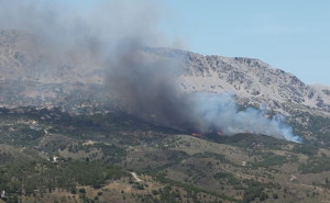 Μεγάλη δασική φωτιά στη Χίο- «Ήχησε» το 112 (video)