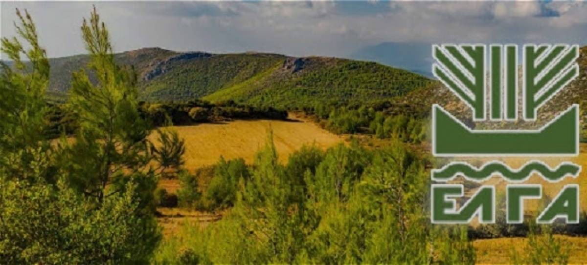ΕΛΓΑ: Χωρίς εκτιμητικά τέλη οι δηλώσεις για ζημιές του «Ιανού»