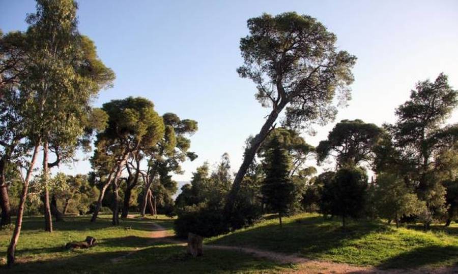 Από αέρως αντιμετωπίστηκε η πυρκαγιά στο Άλσος Συγγρού (upd)