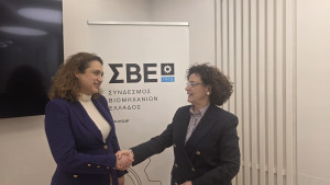 Νέα Γενική Διευθύντρια του ΣΒΕ η Βίκυ Λοΐζου