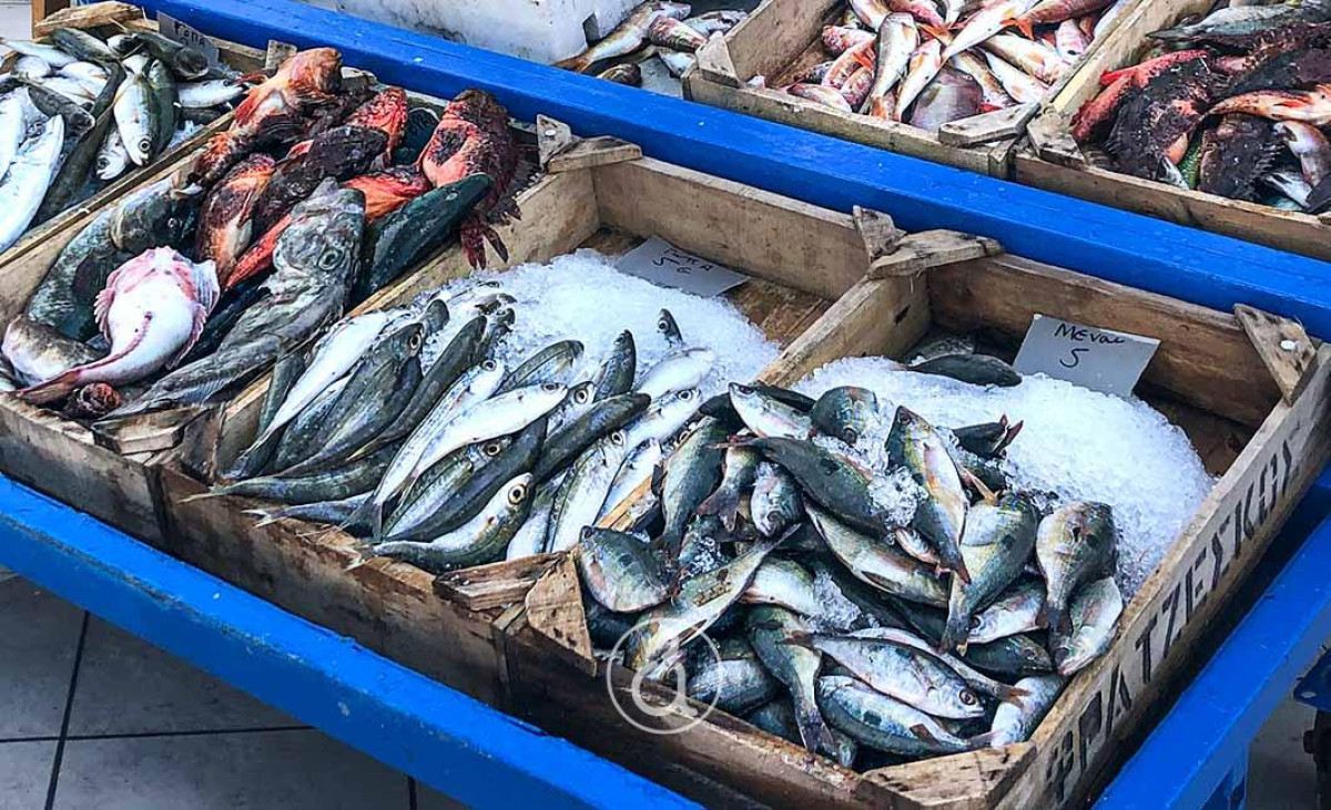 Θεσσαλονίκη: Διαμαρτυρία αλιέων για νέο Ευρωπαϊκό Κανονισμό ζύγισης των ψαριών