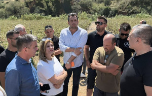 Λιακούλη από Λάρισα: Μεγάλη καταστροφή μετά τη χαλαζόπτωση - Άμεσες αποζημιώσεις και ειδικό πρόγραμμα στήριξης
