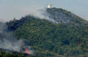 Καταστροφές, πολιτική ευθύνη και δημόσια διοίκηση