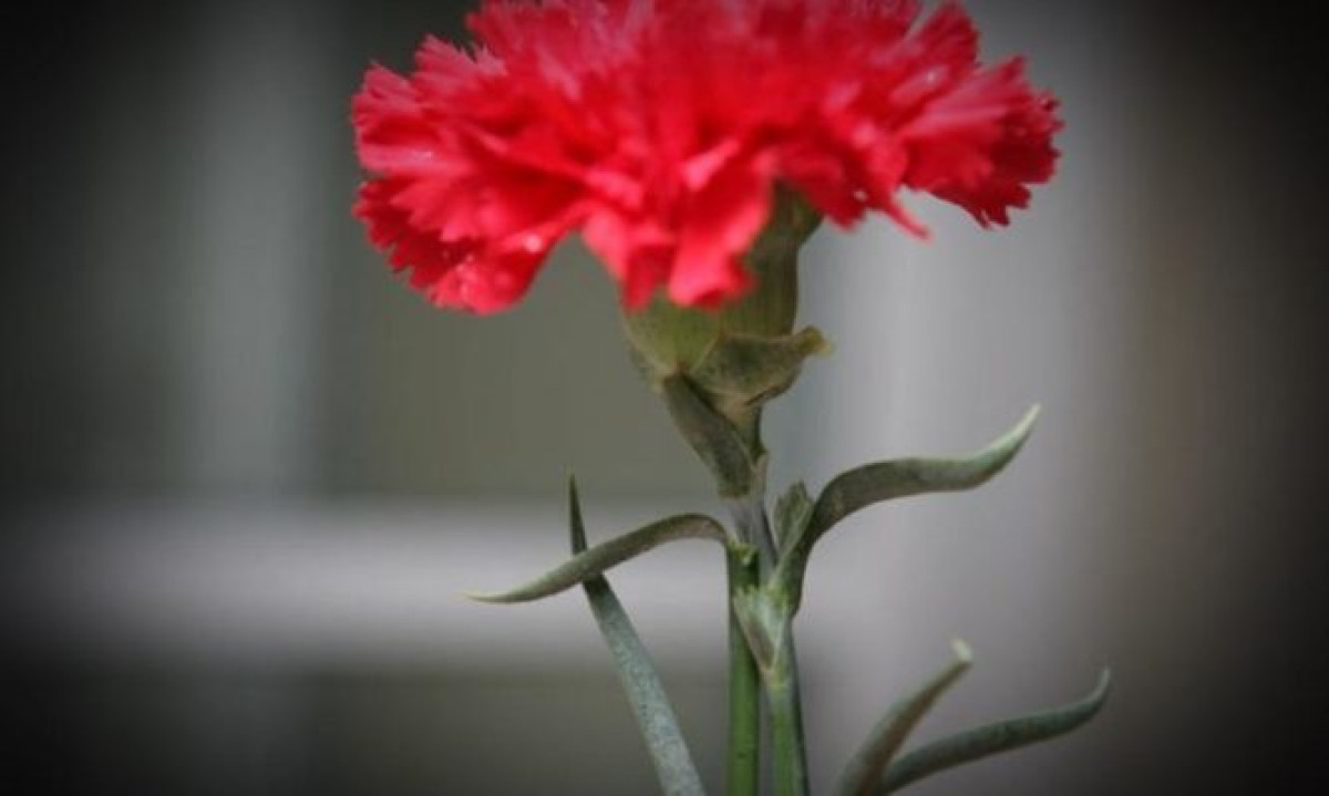Μεταφέρεται για Τρίτη του Πάσχα η αργία της Πρωτομαγιάς
