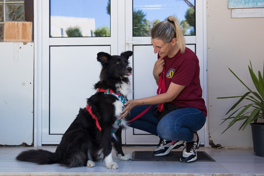 Η Royal Canin Hellas στηρίζει το πρόγραμμα «Ιαματική Ζωοφιλία»