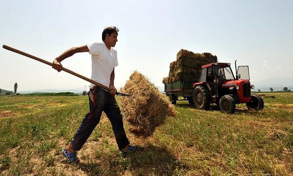 Κομισιόν: Δεν υπάρχουν «κυρώσεις» για καθυστερημένες πληρωμές σε Έλληνες αγρότες!