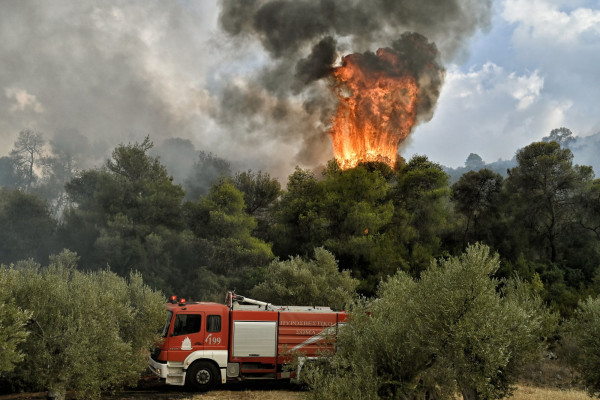 Πυροσβεστική: 51 νέες δασικές πυρκαγιές το τελευταίο 24ωρο