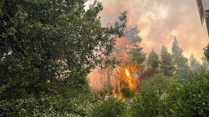 Φωτιά τώρα στη Ροδόπη – Μήνυμα από το 112