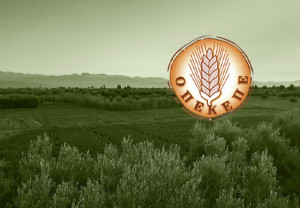 Εξεταστική ΟΠΕΚΕΠΕ: Χαμός στην κατάθεση Τζεδάκη - Έντονη αντιπαράθεση Λαζαρίδη - ΠΑΣΟΚ