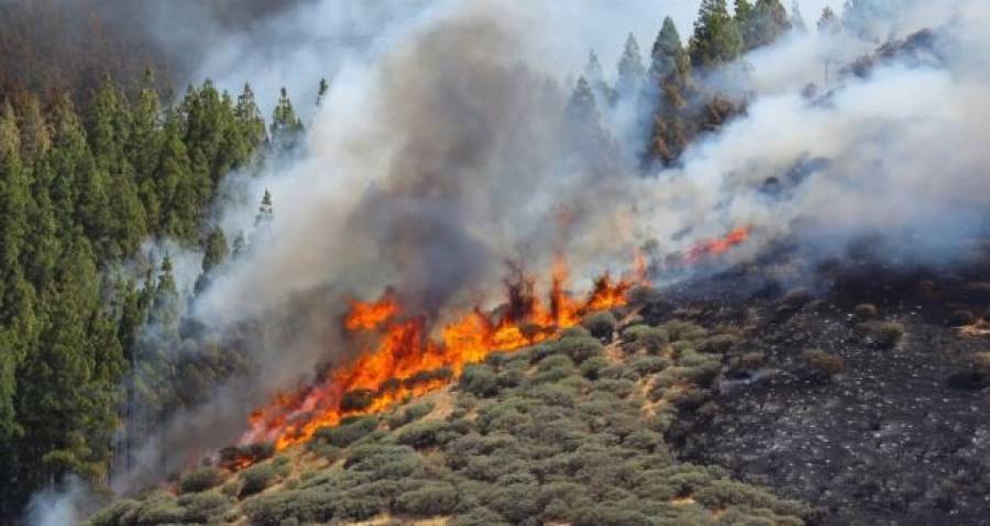 Ισπανία: Πυρκαγιά κατακαίει τις Κανάριες Νήσους