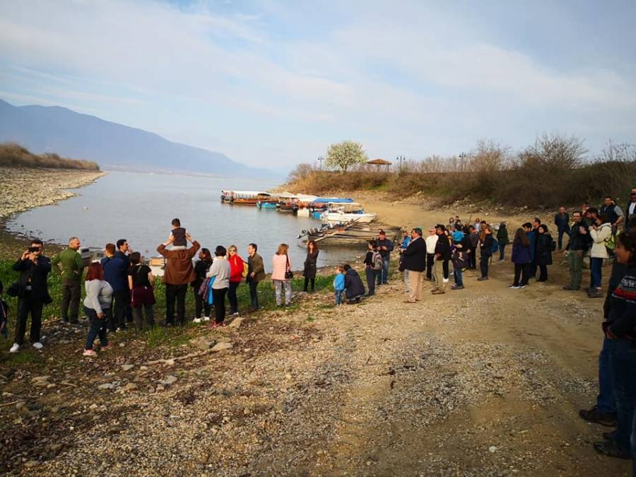 Απελευθέρωση άγριων πουλιών στη λίμνη Κερκίνη