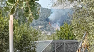 Σπάτα: Φωτιά απέναντι από το Αττικό Ζωολογικό Πάρκο