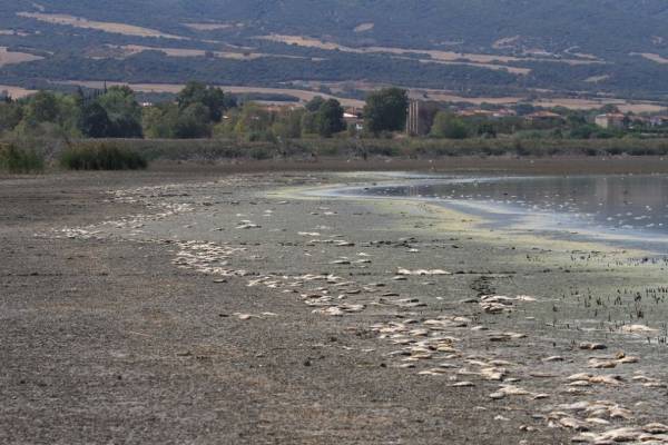 Δέσμη άμεσων ενεργειών για τη βιωσιμότητα της λίμνης Κορώνεια