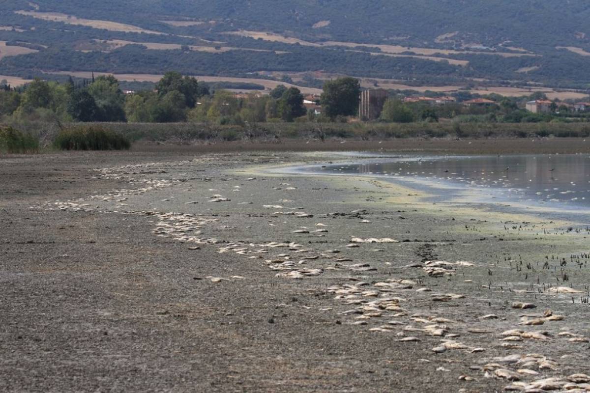Δέσμη άμεσων ενεργειών για τη βιωσιμότητα της λίμνης Κορώνεια