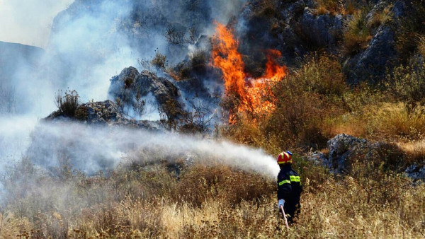Πυροσβεστική: 53 δασικές πυρκαγιές την Κυριακή- Η ενημέρωση