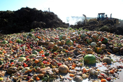ΟΗΕ: Κάθε μέρα πετιούνται στα σκουπίδια ένα δισεκατομμύριο γεύματα