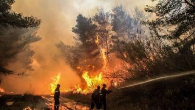 Υπό μερικό έλεγχο η πυρκαγιά στην Ανατολική Μάνη