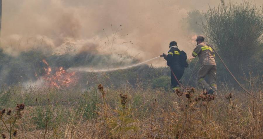 Ανατολική Μάνη: Πυρκαγιά σε δασική περιοχή