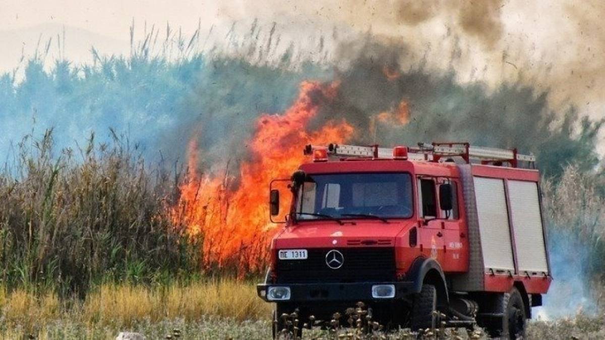 Ποινικές διώξεις για τους εμπρησμούς σε Κρυονέρι, Πεδίον του Άρεως