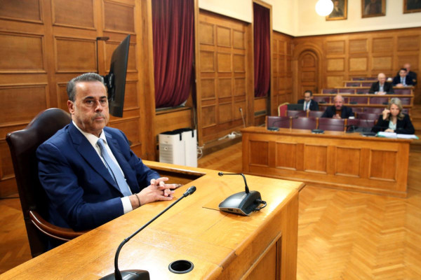 Παπασταύρου στην Εξεταστική: Η κυβέρνηση δεν κατάφερε να προασπίσει το δημόσιο συμφέρον στον ΟΠΕΚΕΠΕ