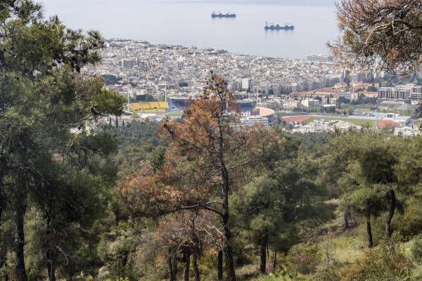 Τη Δευτέρα (14/6) αρχίζει ο καθαρισμός του Σέιχ Σου