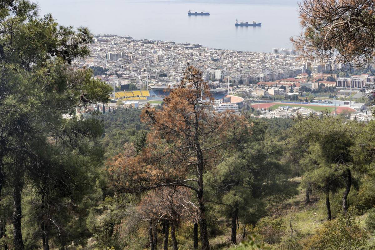 Τη Δευτέρα (14/6) αρχίζει ο καθαρισμός του Σέιχ Σου