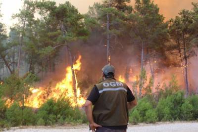 Ανέβηκε ο απολογισμός των νεκρών από τις πυρκαγιές στην Τουρκία