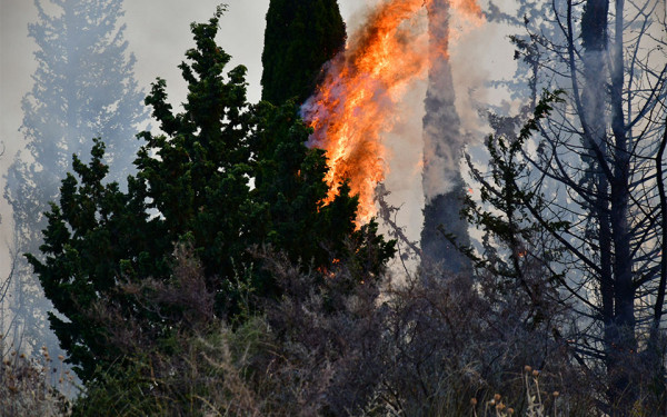Πυρκαγιά σε δασική έκταση στο Λεόντιο Νεμέας