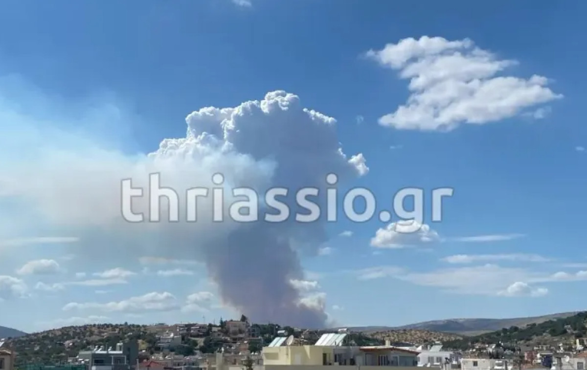 Μεγάλη πυρκαγιά κοντά σε σπίτια στην Οινόη