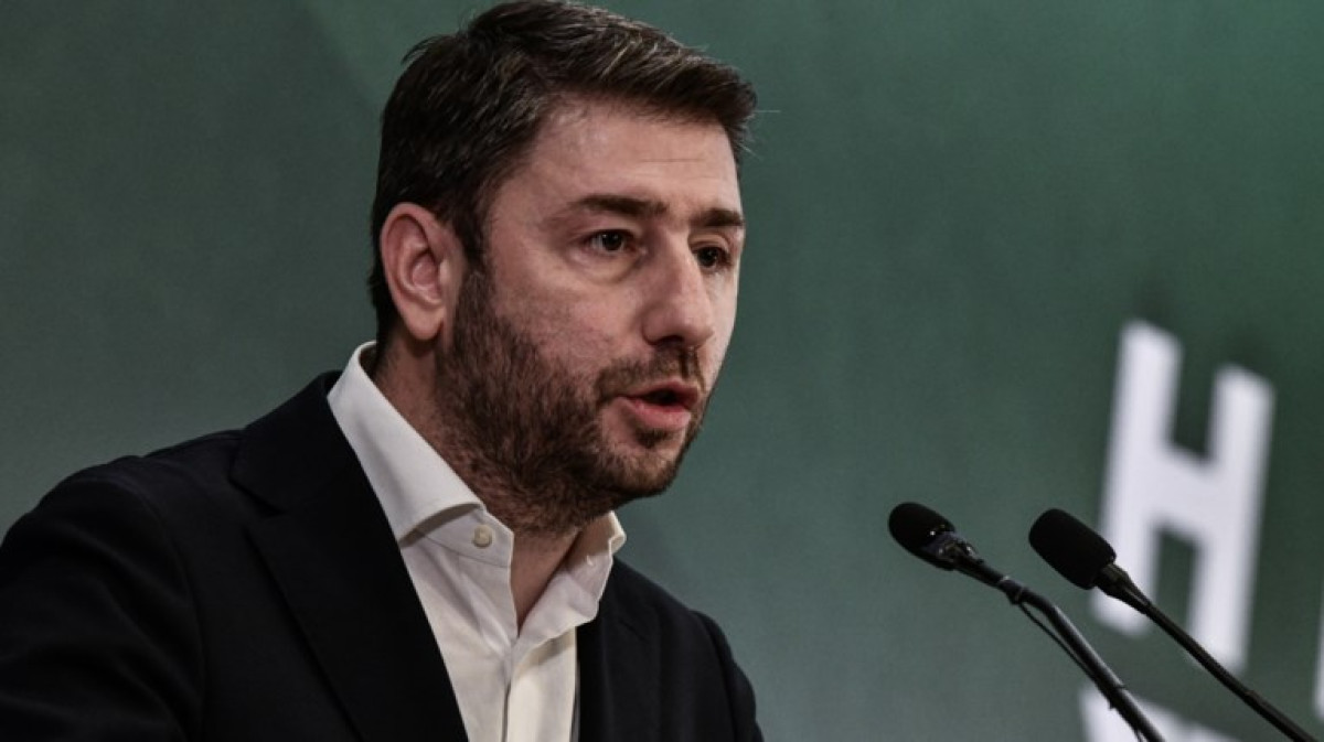 Ανδρουλάκης για πυρκαγιές: Αυτή τη στιγμή πρωτεύει η ανθρώπινη ζωή