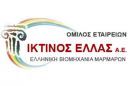 Ικτίνος Ελλάς: Αύξηση 50% σημείωσαν οι πωλήσεις το 2017