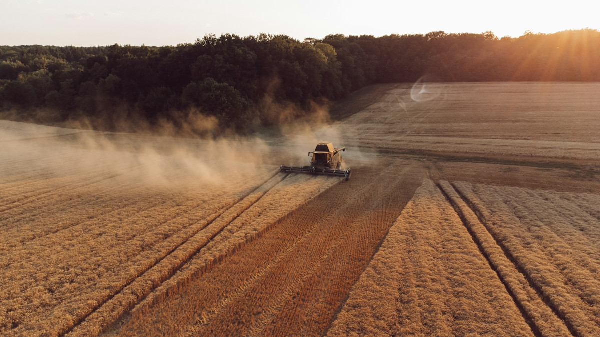 Νέες βελτιώσεις στο myAGRO – Τι ισχύει για τους ΚΑΕΚ, μετάθεση ημερομηνιών