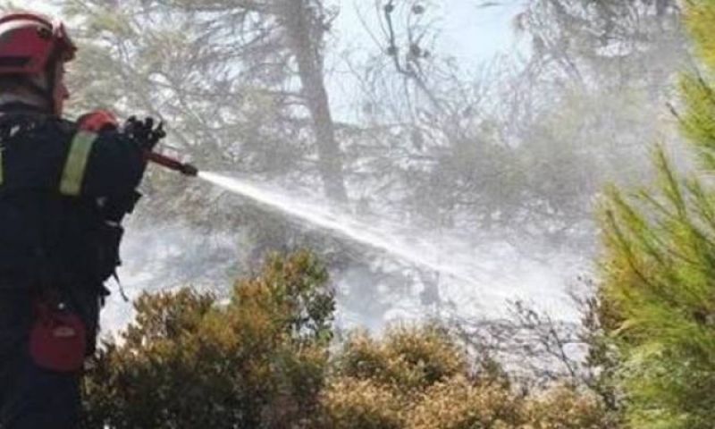Ηλεία: Υπό πλήρη έλεγχο το μέτωπο της Φρίξας