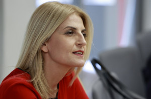 Αυγέρη για Άδωνι: Θυσιάζει τα πάντα στον βωμό του κέρδους