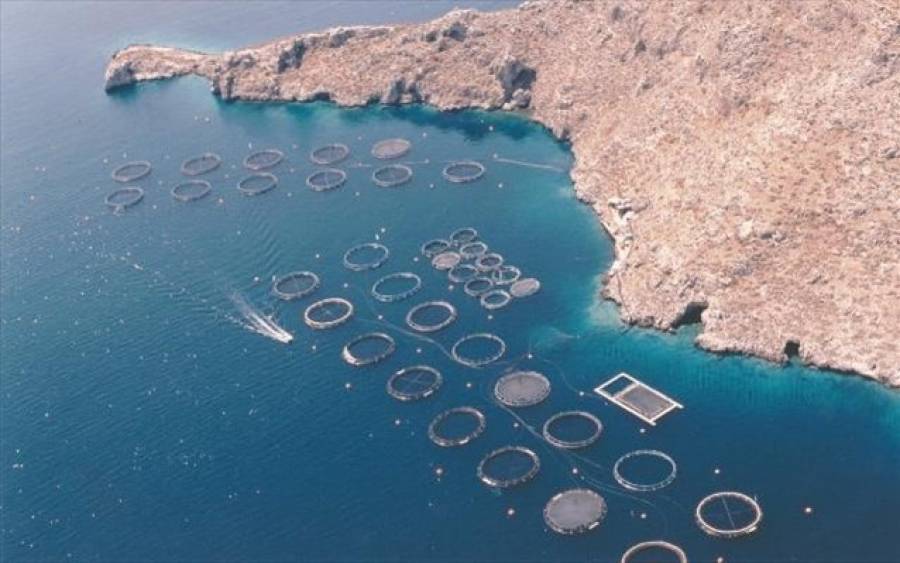 Σελόντα: Στις 27/11 η απόφαση για έκδοση ομολογιακών δανείων έως 290 εκατ.