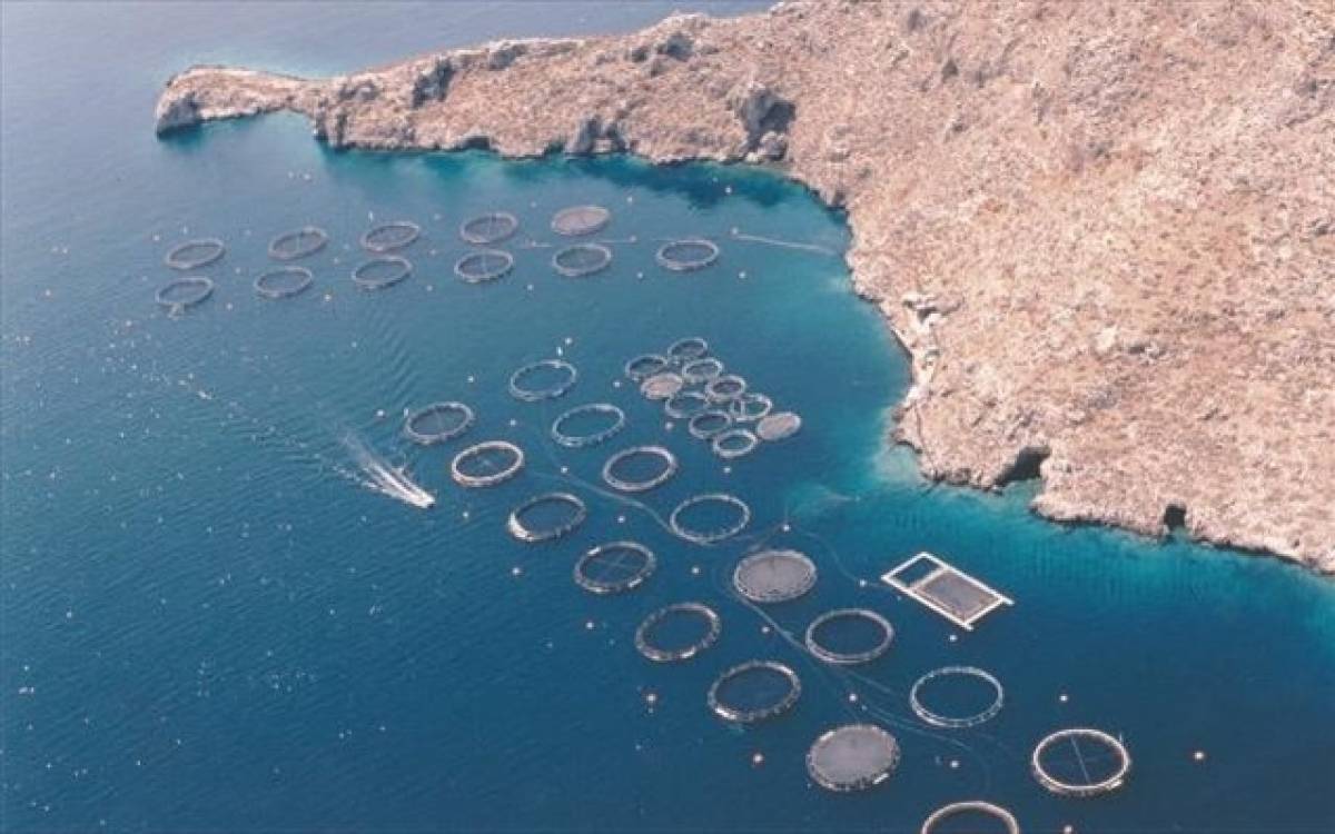 Σελόντα: Στις 27/11 η απόφαση για έκδοση ομολογιακών δανείων έως 290 εκατ.