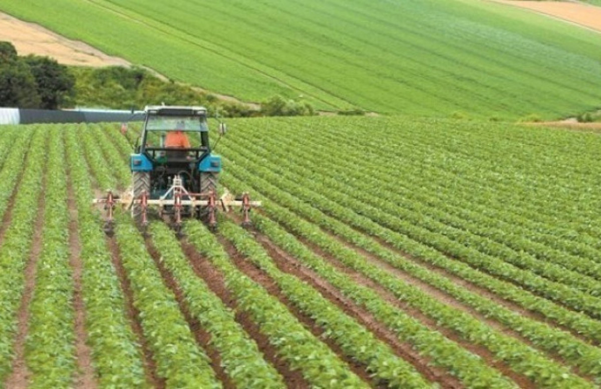 Ετήσια αύξηση 21% στον δείκτη τιμών εκροών στη γεωργία- κτηνοτροφία