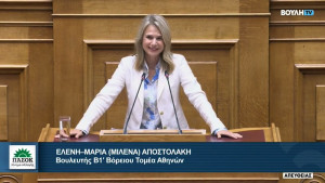 Αποστολάκη: Η κυβέρνηση νομοθετεί επικοινωνιακά, δεν εκσυγχρονίζει