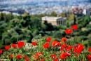 Σε τι πόλη ζούμε; Το περιβαλλοντικό προφίλ της Αθήνας